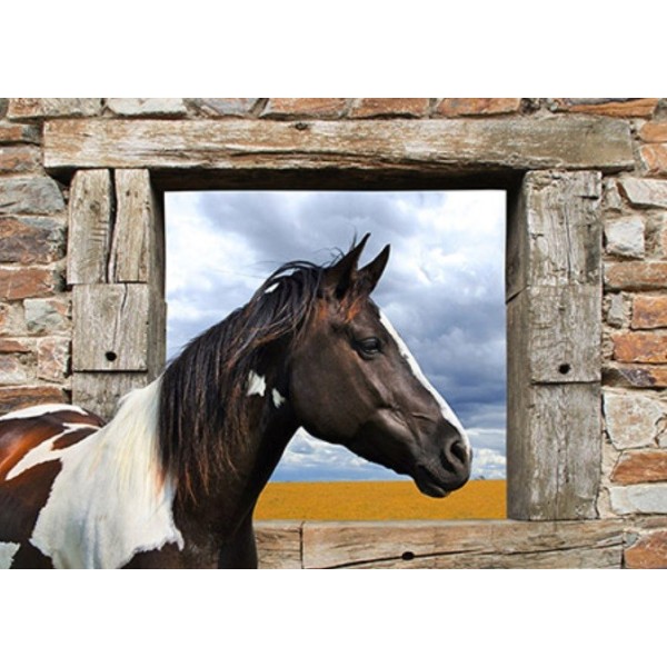 Arab King Horse Picture Animal Print on Mdf or Swarovski Canvas Home Furnishing