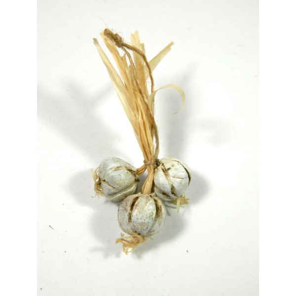 Bundle of Garlic or Onion cm 3x6h - Scenography for Nativity Scene