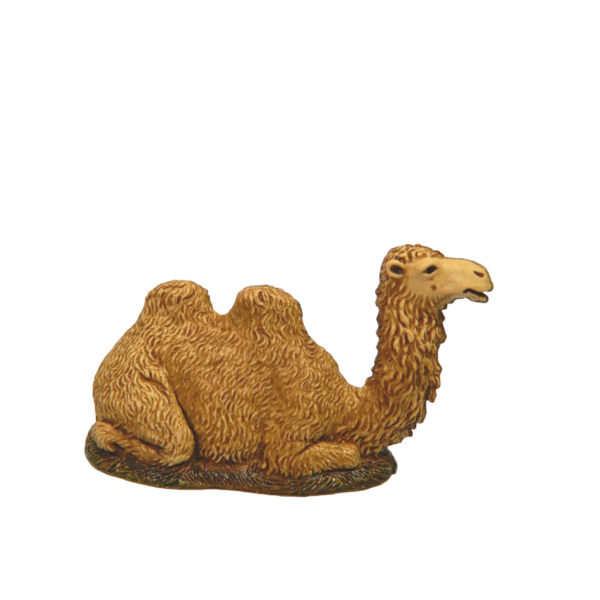 Sitting Camel Landi Moranduzzo for Tall Shepherds cm 8 - Animals for Nativity Scene