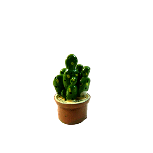 Pot with Cactus 1,5x3h Cm Succulent Plant Window Plan Home Shepherds Nativity Scene