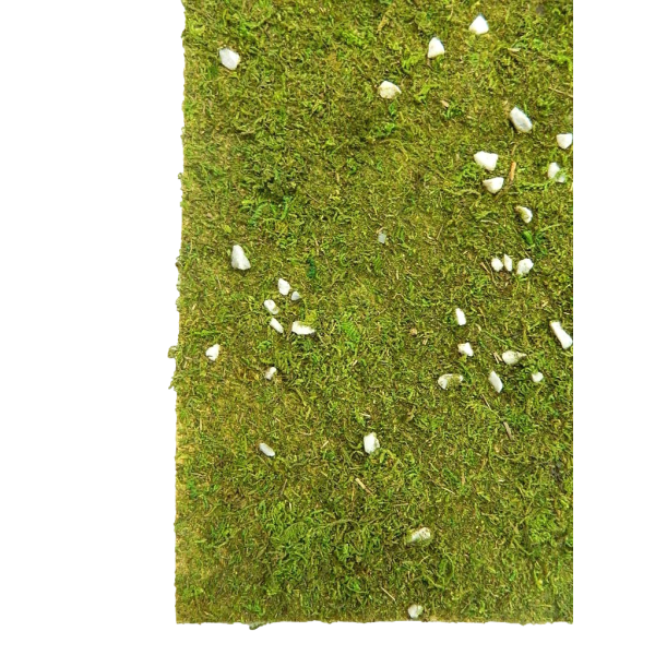 Sheet of Paper Meadow with Moss and Stones Cm 50x70 - Vegetation for Nativity Scene