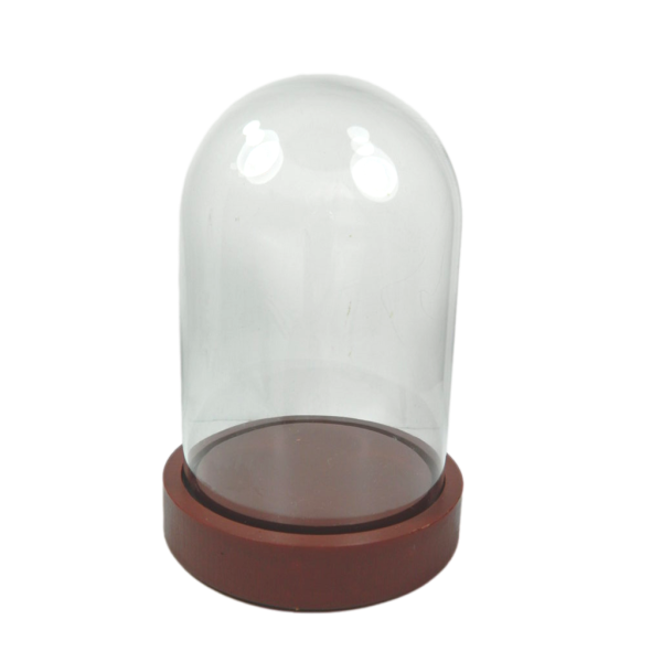 Glass bell complete with base Internal measurement 10.5x16 cm - Empty dome