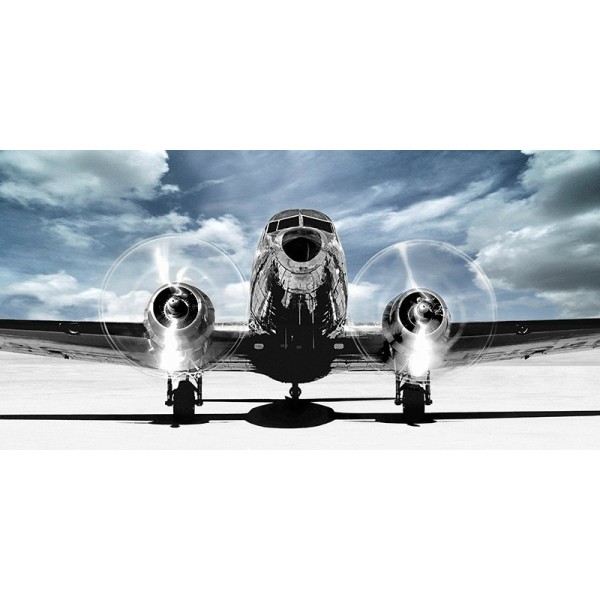 Quadro Aereo in Decollo Aeroplano 1 Stampa su Mdf o Tela Swarovski Pannello Foto