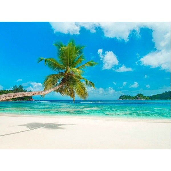 Quadro Spiaggia Seychelles Stampa su Mdf Tela Swarovski Pannello Foto Casa Mare