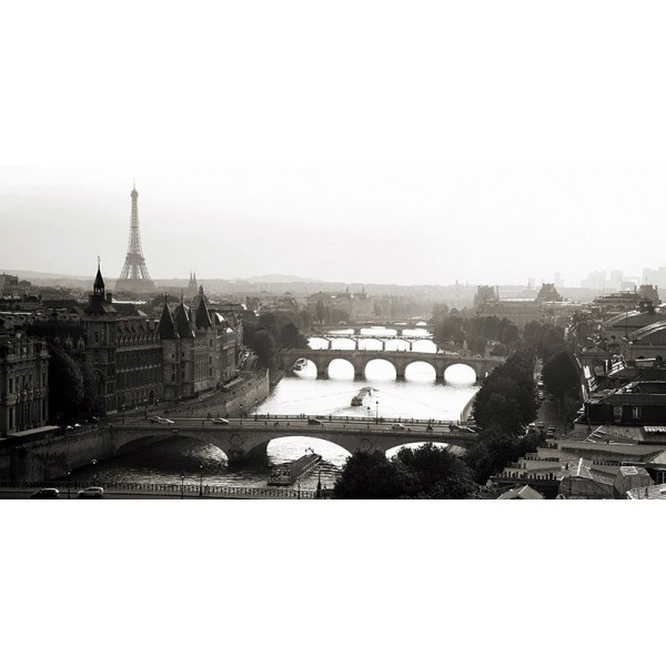 Quadro Ponti sul Fiume Senna Parigi Stampa su Mdf o Tela Swarovski Pannello Casa