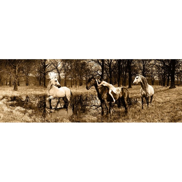 Quadro Mandria Cavalli con Donna nel Bosco Stampa Su Mdf o Tela Swarovski Arredo