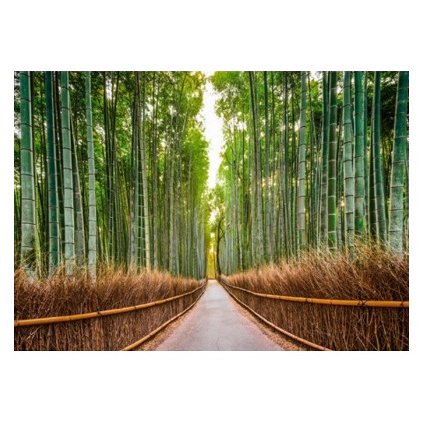 Quadro Foresta Bambù Kyoto Giappone Paesaggio Stampa su Mdf Tela Swarovski Casa