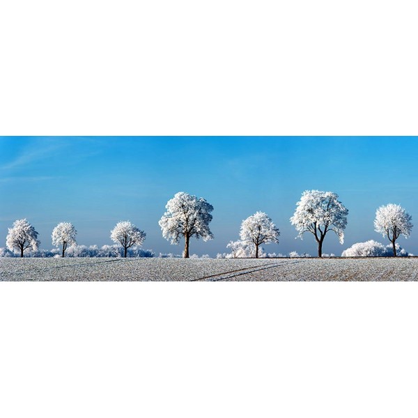 Quadro Foresta Albero Vicolo Gelo Germania Stampa Mdf o Tela Swarovski Paesaggio