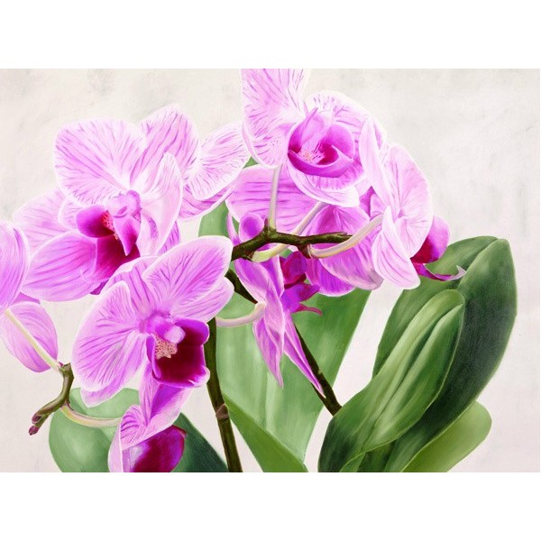 Quadro Fiori Orchide Selvagge Stampa su Mdf o Tela Swarovski Arredo Casa Panello